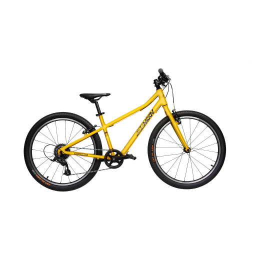 Vélo enfant 24 pouces BEMOOV